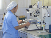 Microscope