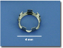 �X�e�����X�~�j�A�`���A���`�ێ���