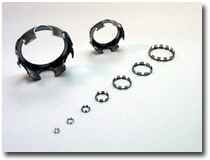 �X�e�����X���`�ێ���