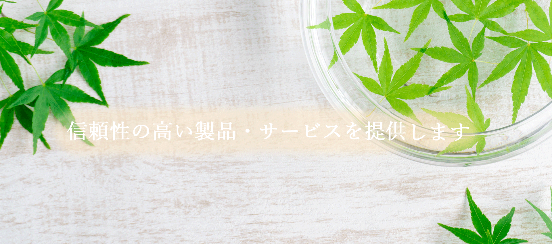 ���C���摜